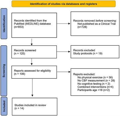 A Systematic Review of the Impact of Physical Exercise-Induced Increased Resting Cerebral Blood Flow on Cognitive Functions